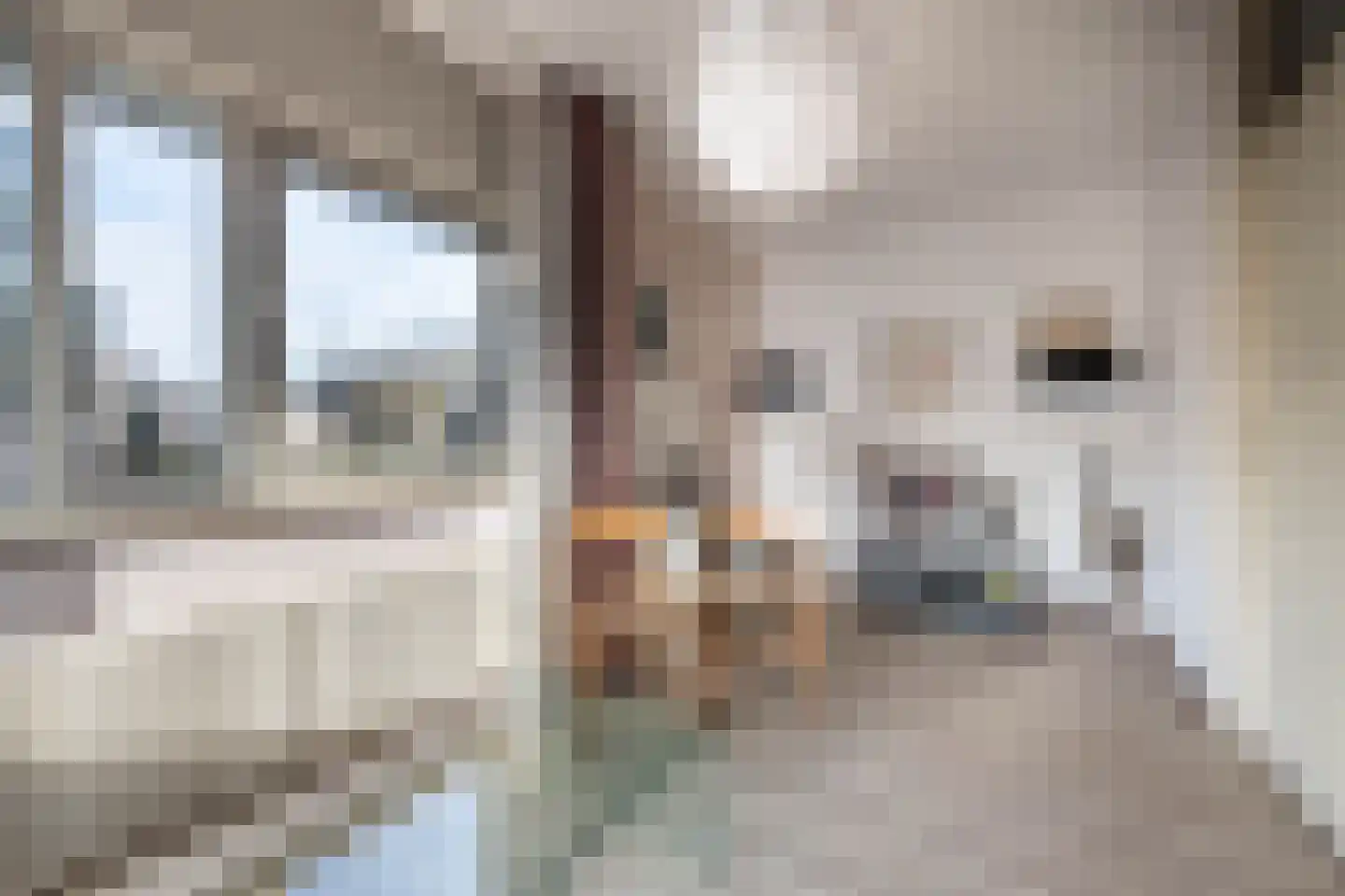 Gravin Adahof 7 Vogelenzang thumbnail 33