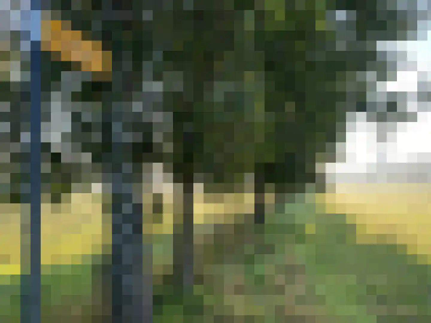 Gravin Adahof 7 Vogelenzang thumbnail 33