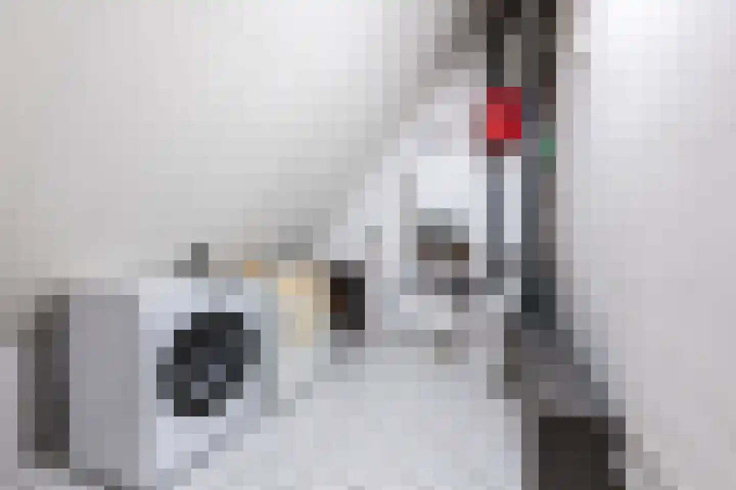 Gravin Adahof 7 Vogelenzang thumbnail 34