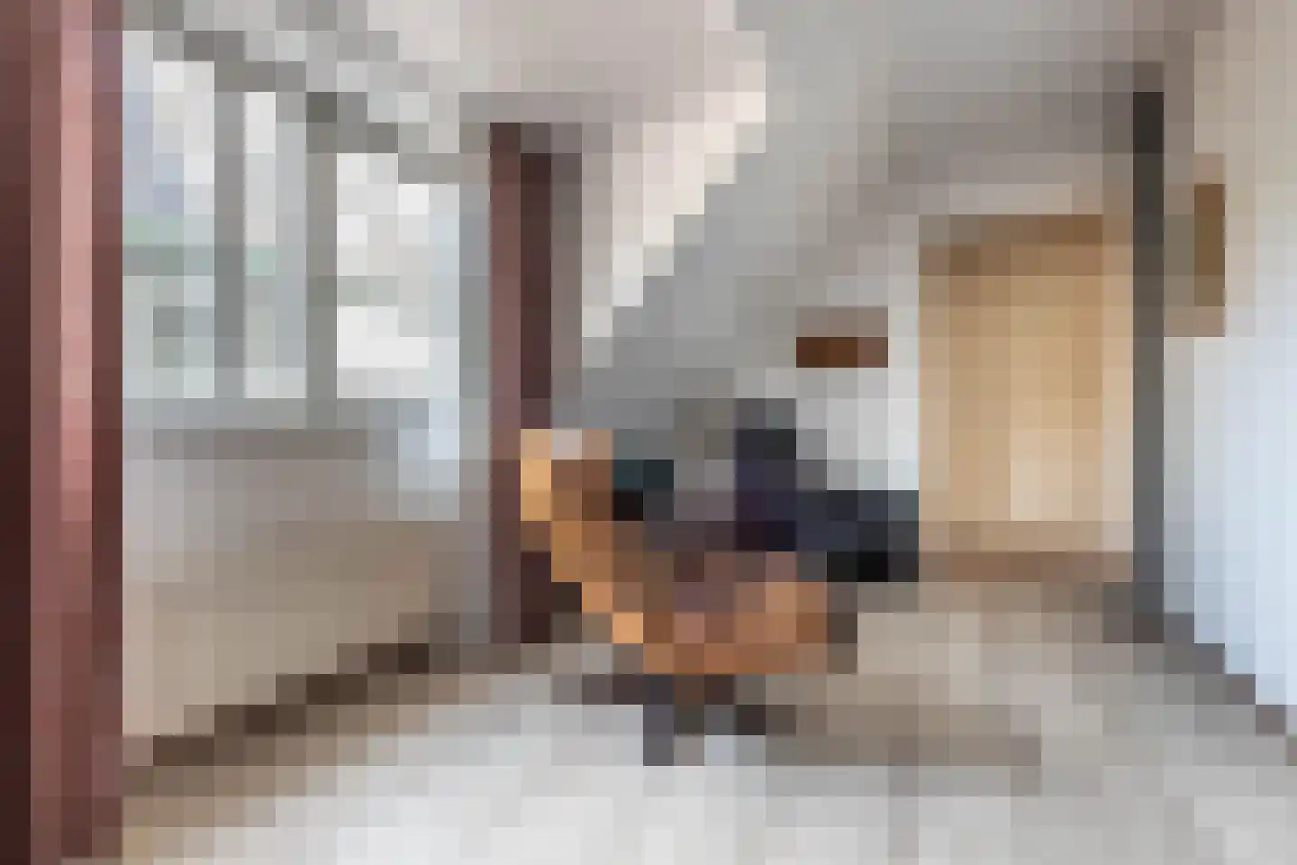 Gravin Adahof 7 Vogelenzang thumbnail 36