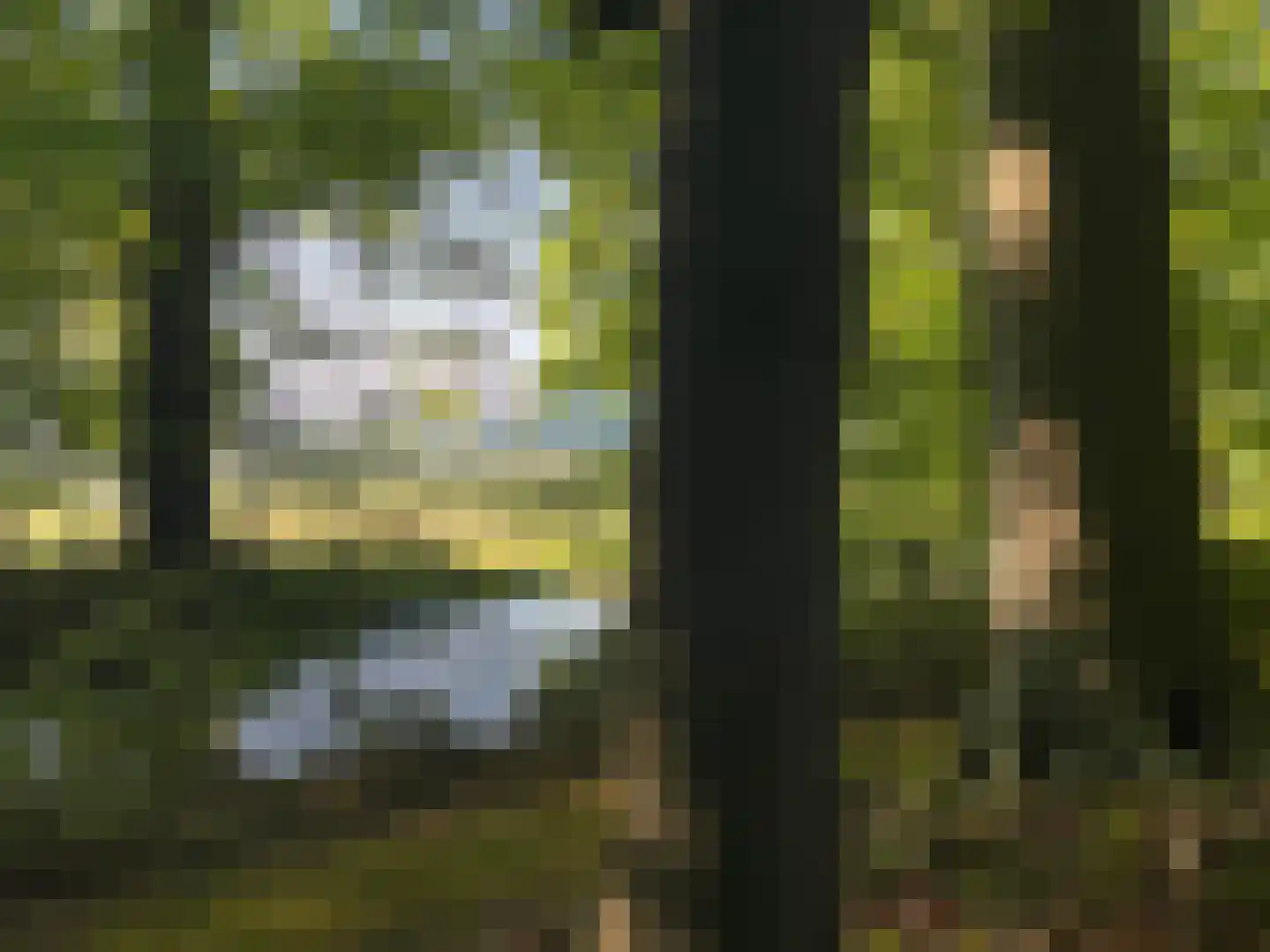 Gravin Adahof 7 Vogelenzang thumbnail 36