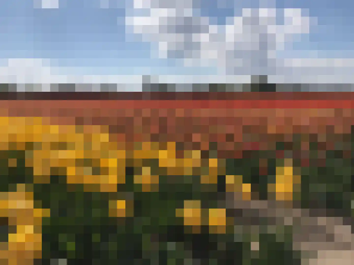 Gravin Adahof 7 Vogelenzang thumbnail 37