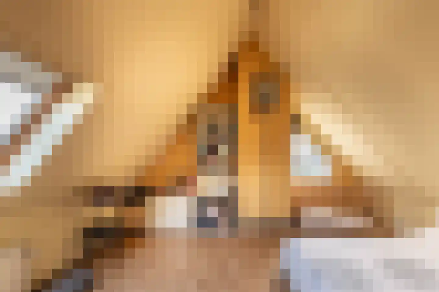Gravin Adahof 7 Vogelenzang thumbnail 38