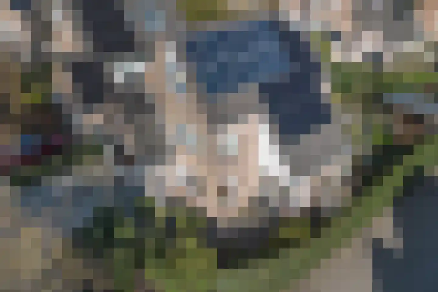 Gravin Adahof 7 Vogelenzang thumbnail 4
