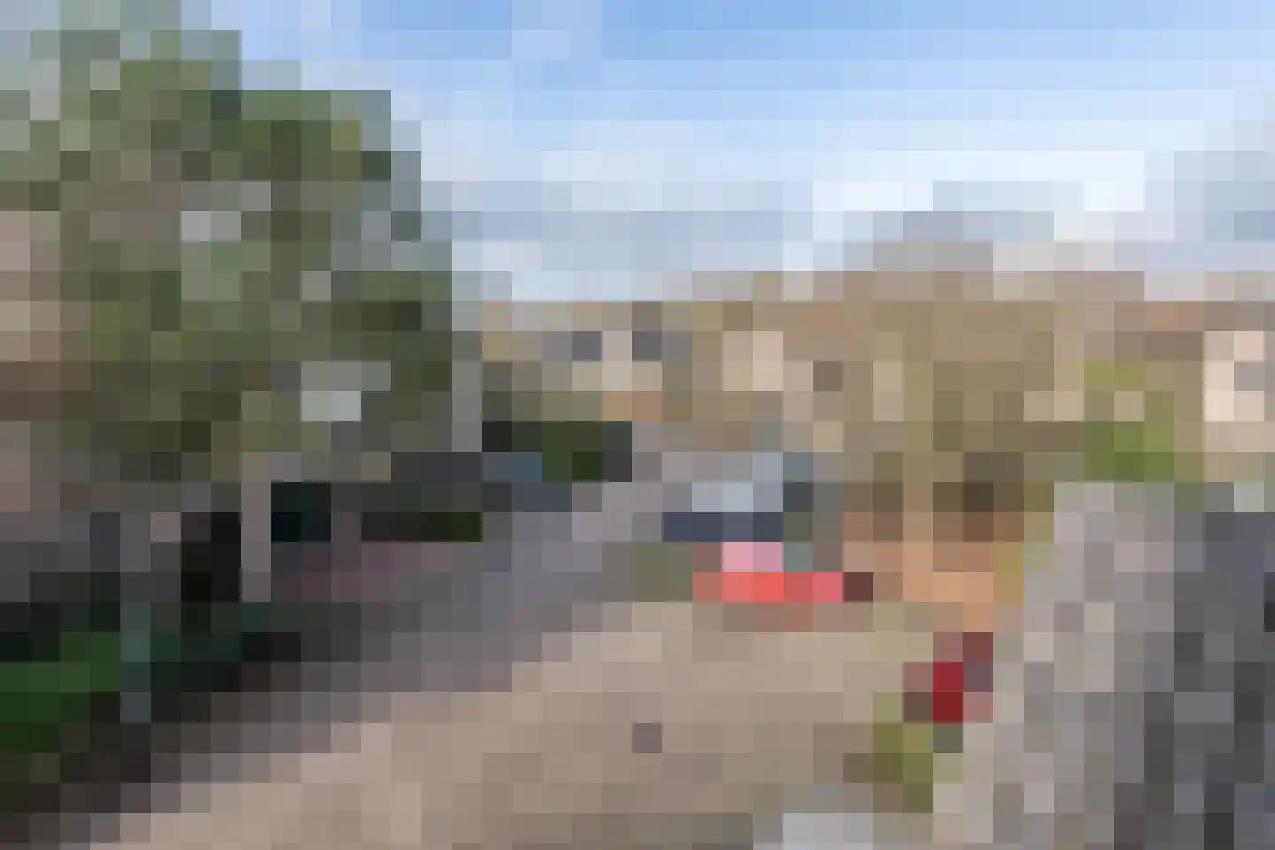 Gravin Adahof 7 Vogelenzang thumbnail 41