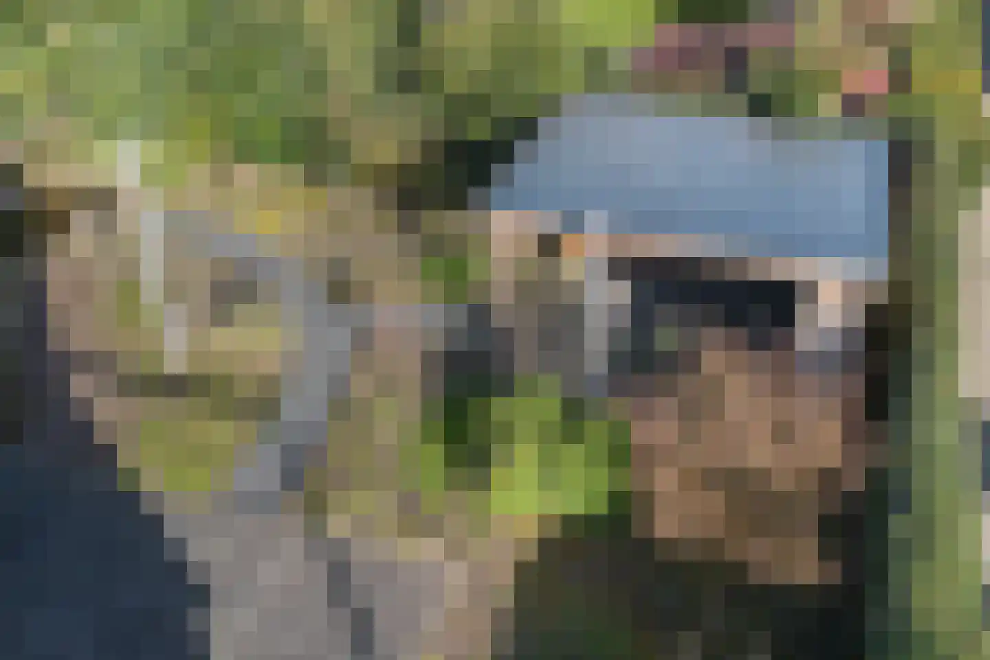 Gravin Adahof 7 Vogelenzang thumbnail 46