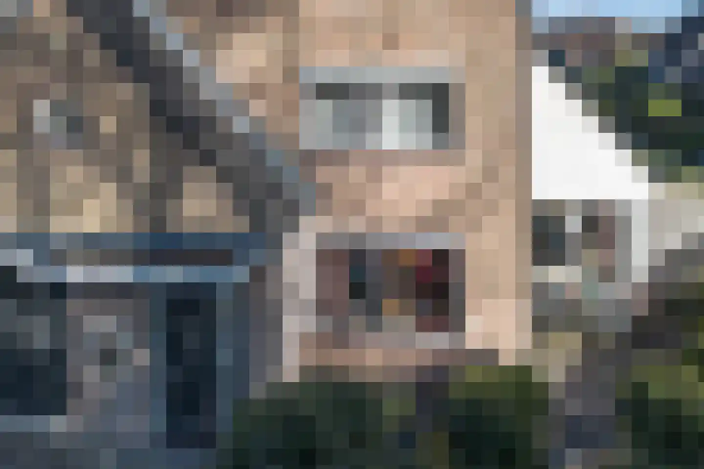 Gravin Adahof 7 Vogelenzang thumbnail 47