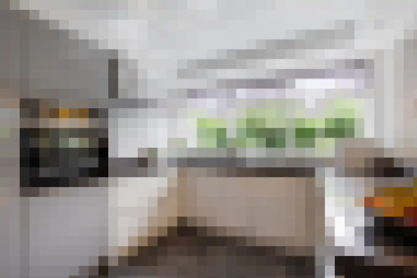 Gravin Adahof 7 Vogelenzang thumbnail 5
