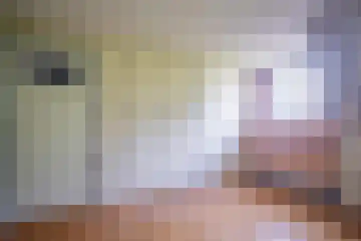Gravin Adalaan 10 Velp thumbnail 20