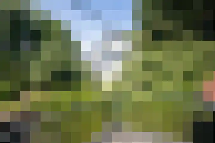 Gravin Adalaan 10 Velp thumbnail 31