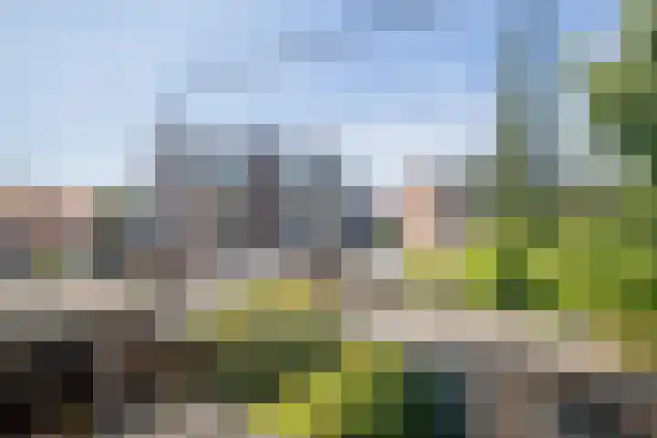 Gravin Adalaan 10 Velp thumbnail 32