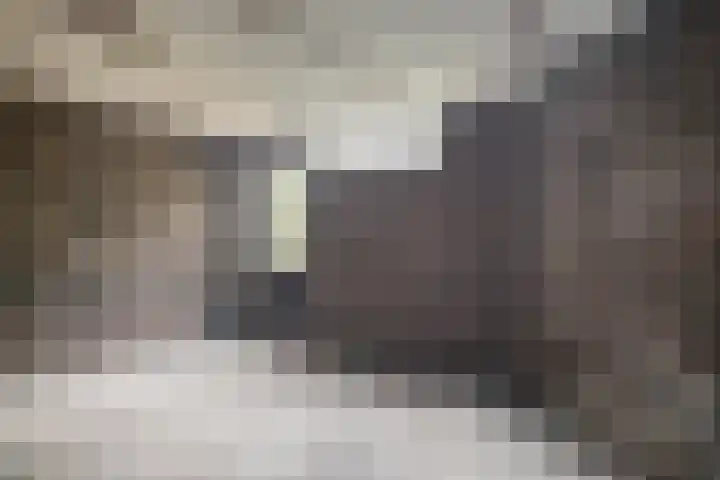 Gravin Adalaan 10 Velp thumbnail 38