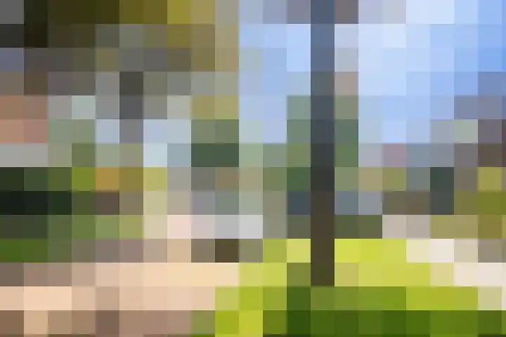 Gravin Adalaan 10 Velp thumbnail 40