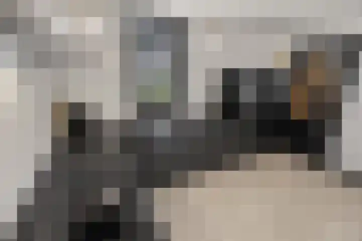 Gravin Adalaan 4 Nieuwegein thumbnail 24