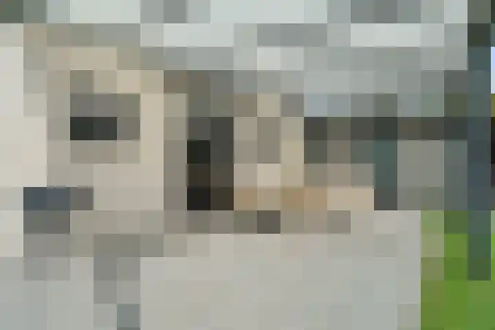 Gravin Adalaan 4 Nieuwegein thumbnail 27