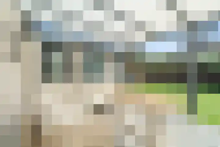Gravin Adalaan 4 Nieuwegein thumbnail 30