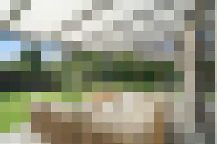 Gravin Adalaan 4 Nieuwegein thumbnail 32