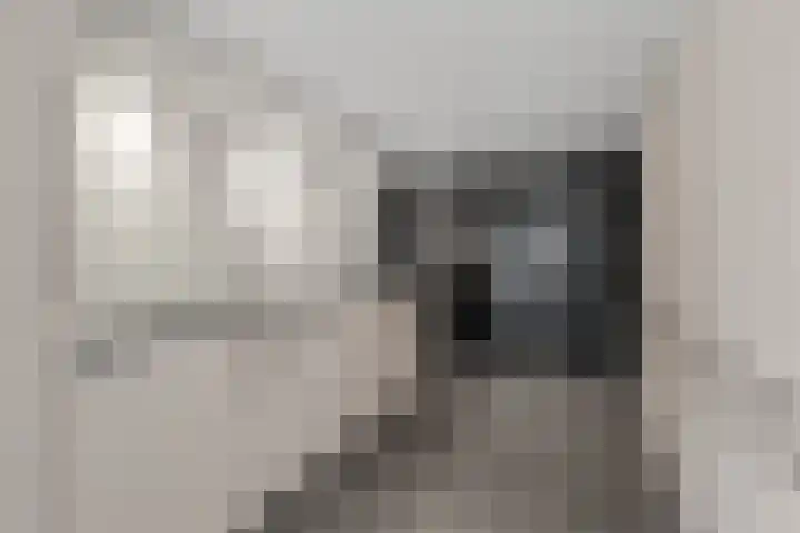Gravin Adalaan 4 Nieuwegein thumbnail 41
