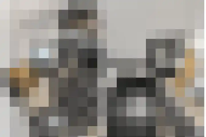 Gravin Adalaan 4 Nieuwegein thumbnail 54