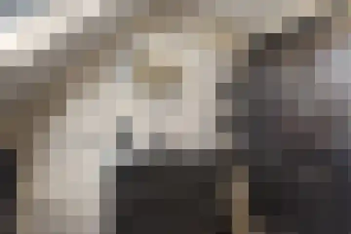 Gravin Adalaan 4 Nieuwegein thumbnail 65