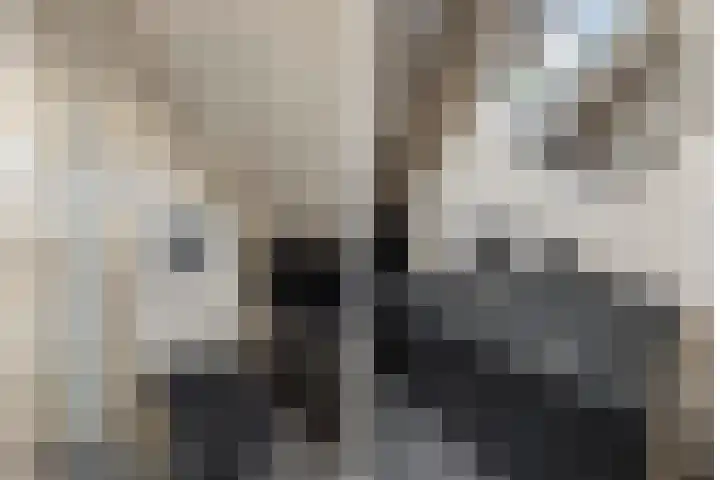 Gravin Adalaan 4 Nieuwegein thumbnail 66