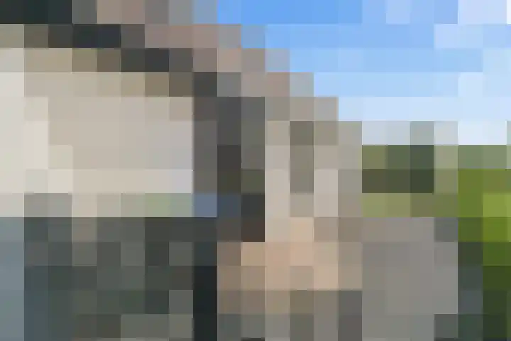 Gravin Adalaan 4 Nieuwegein thumbnail 68