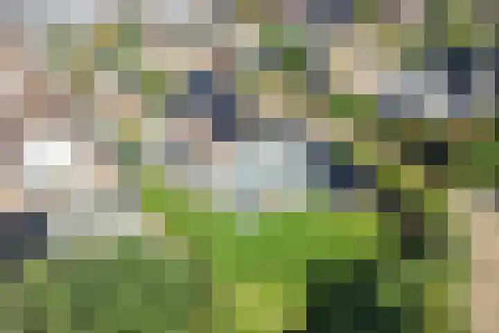 Gravin Adalaan 4 Nieuwegein thumbnail 70