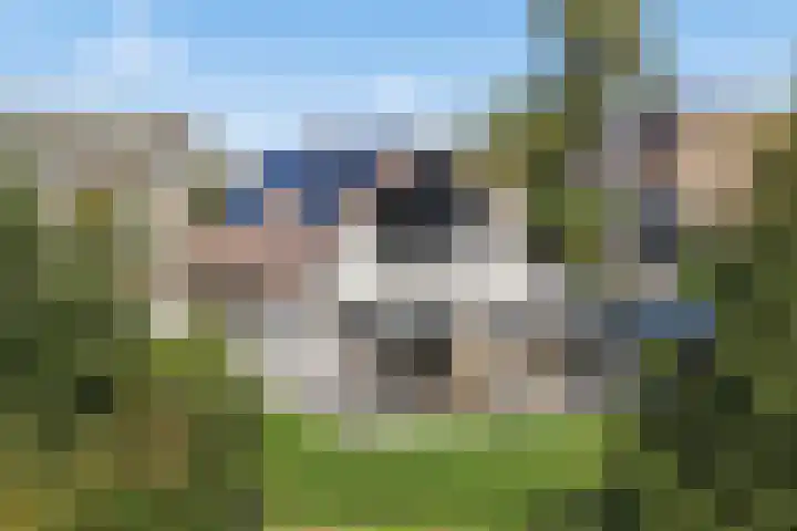 Gravin Adalaan 4 Nieuwegein thumbnail 72