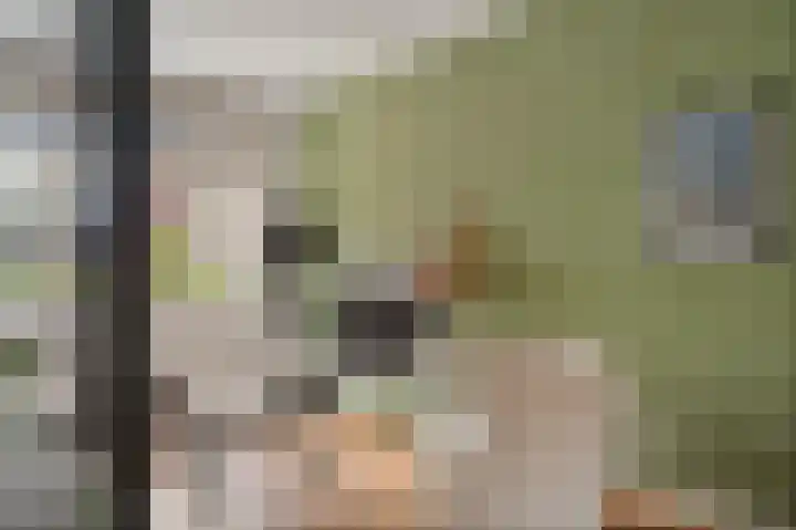 Gravin Adalaan 8 Den Haag thumbnail 10