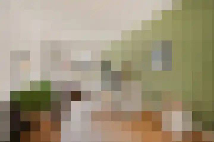 Gravin Adalaan 8 Den Haag thumbnail 11
