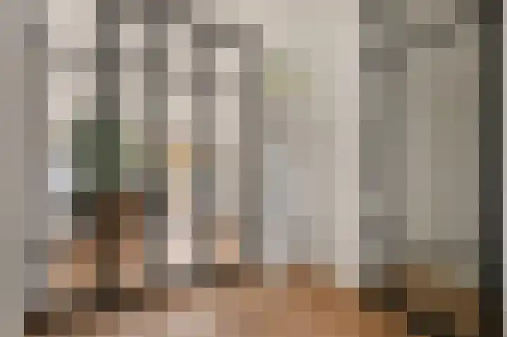 Gravin Adalaan 8 Den Haag thumbnail 12