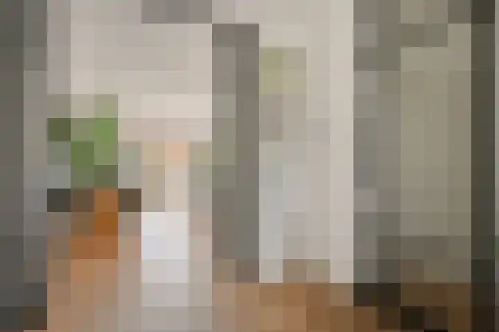 Gravin Adalaan 8 Den Haag thumbnail 14