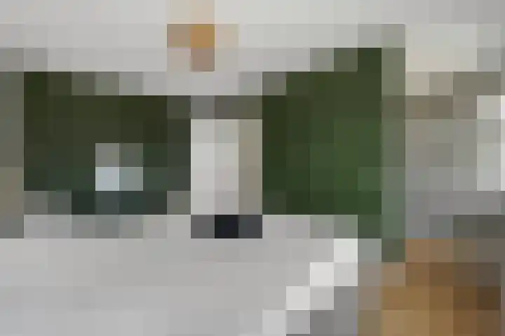 Gravin Adalaan 8 Den Haag thumbnail 22