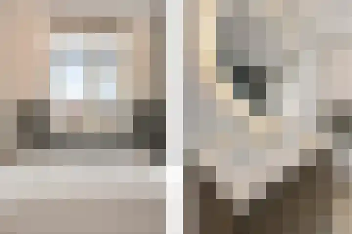 Gravin Adalaan 8 Den Haag thumbnail 24