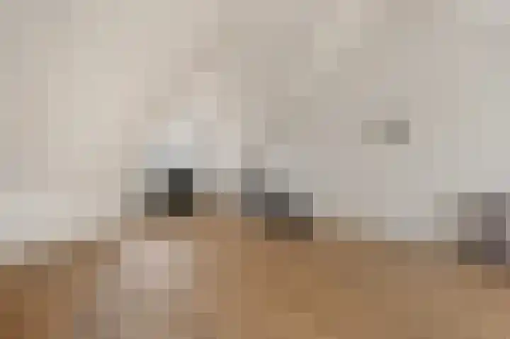 Gravin Adalaan 8 Den Haag thumbnail 30