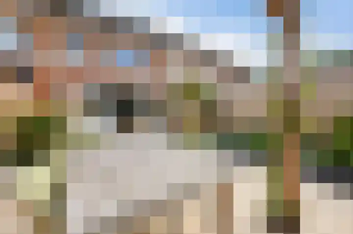 Gravin Adalaan 8 Den Haag thumbnail 35