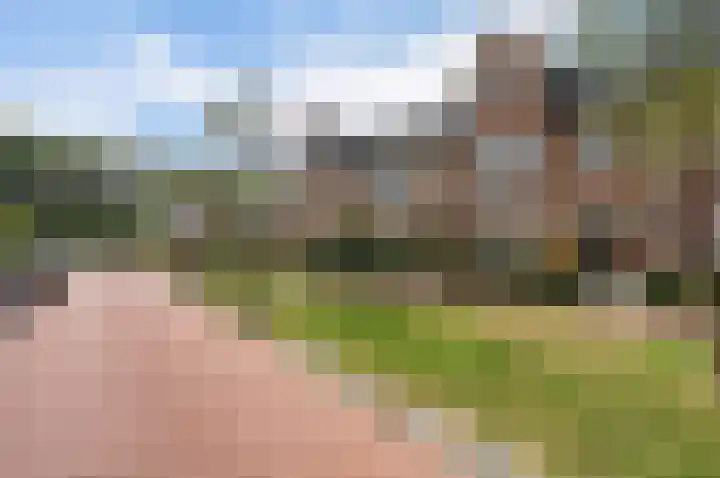 Gravin Adalaan 8 Den Haag thumbnail 38