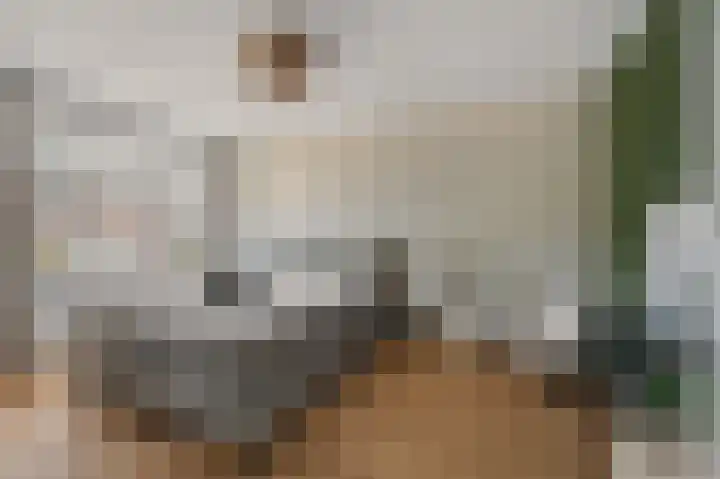 Gravin Adalaan 8 Den Haag thumbnail 4