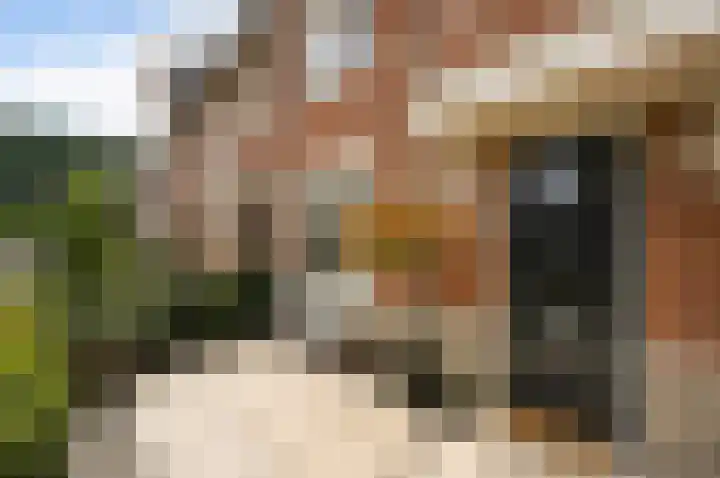 Gravin Adalaan 8 Den Haag thumbnail 7