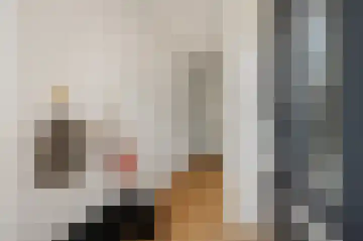 Gravin Adalaan 8 Den Haag thumbnail 8