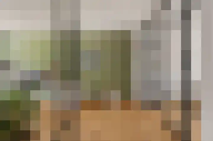Gravin Adalaan 8 Den Haag thumbnail 9