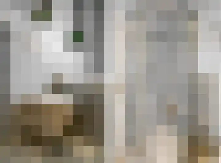 Gravin Adalaan 8 Nieuwegein thumbnail 19