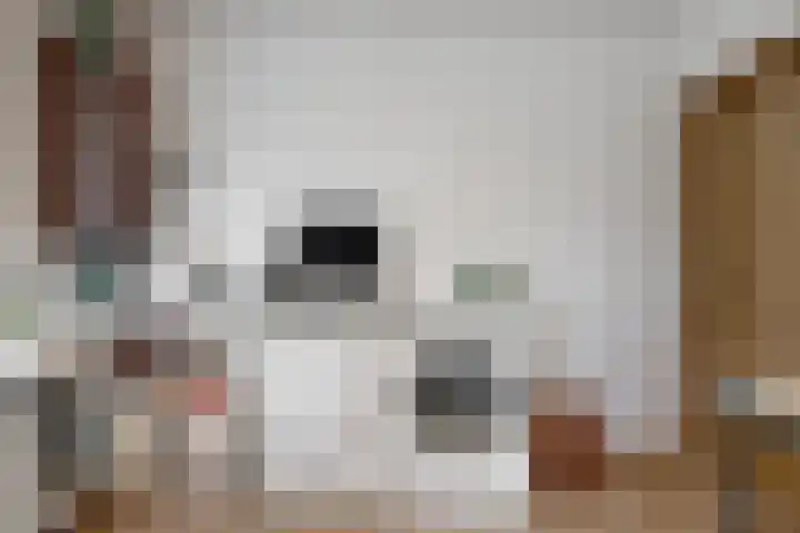 Gravin Adalaan 8 Nieuwegein thumbnail 21