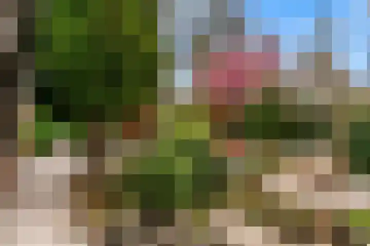 Gravin Adalaan 8 Nieuwegein thumbnail 38