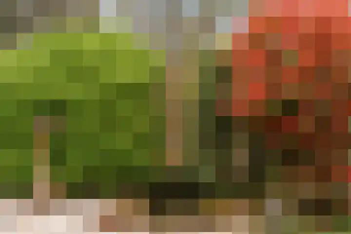 Gravin Adalaan 8 Nieuwegein thumbnail 39