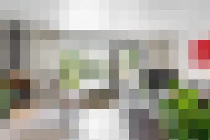 Gravin Adalaan 8 Nieuwegein thumbnail 4