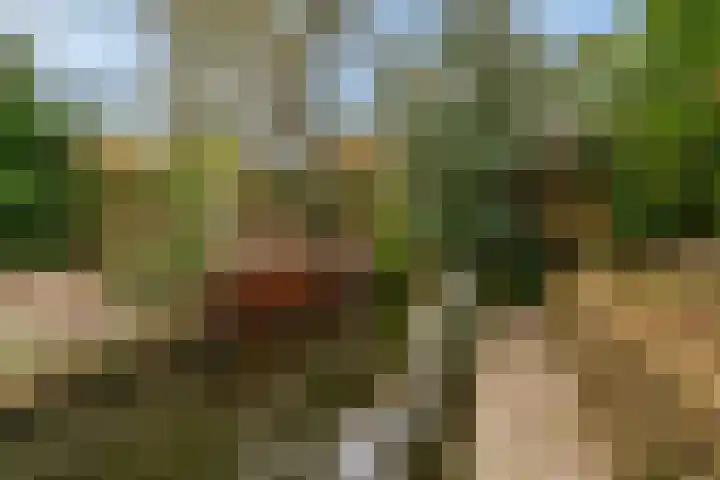 Gravin Adalaan 8 Nieuwegein thumbnail 40