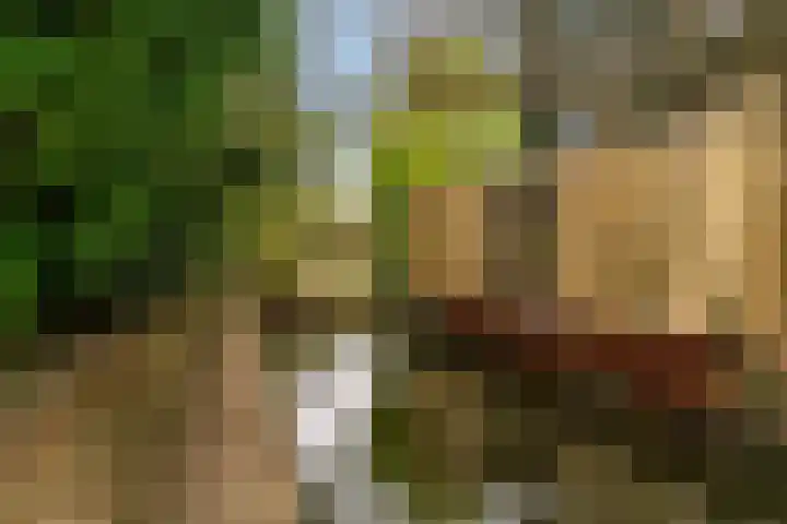 Gravin Adalaan 8 Nieuwegein thumbnail 41