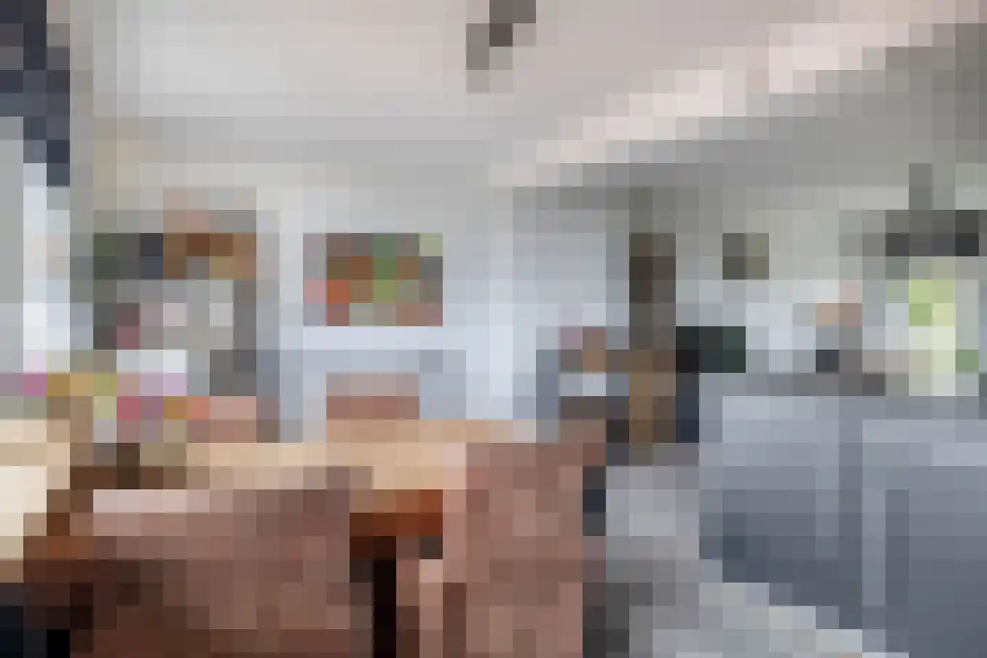 Gravin Adélastraat 107 Rotterdam thumbnail 21