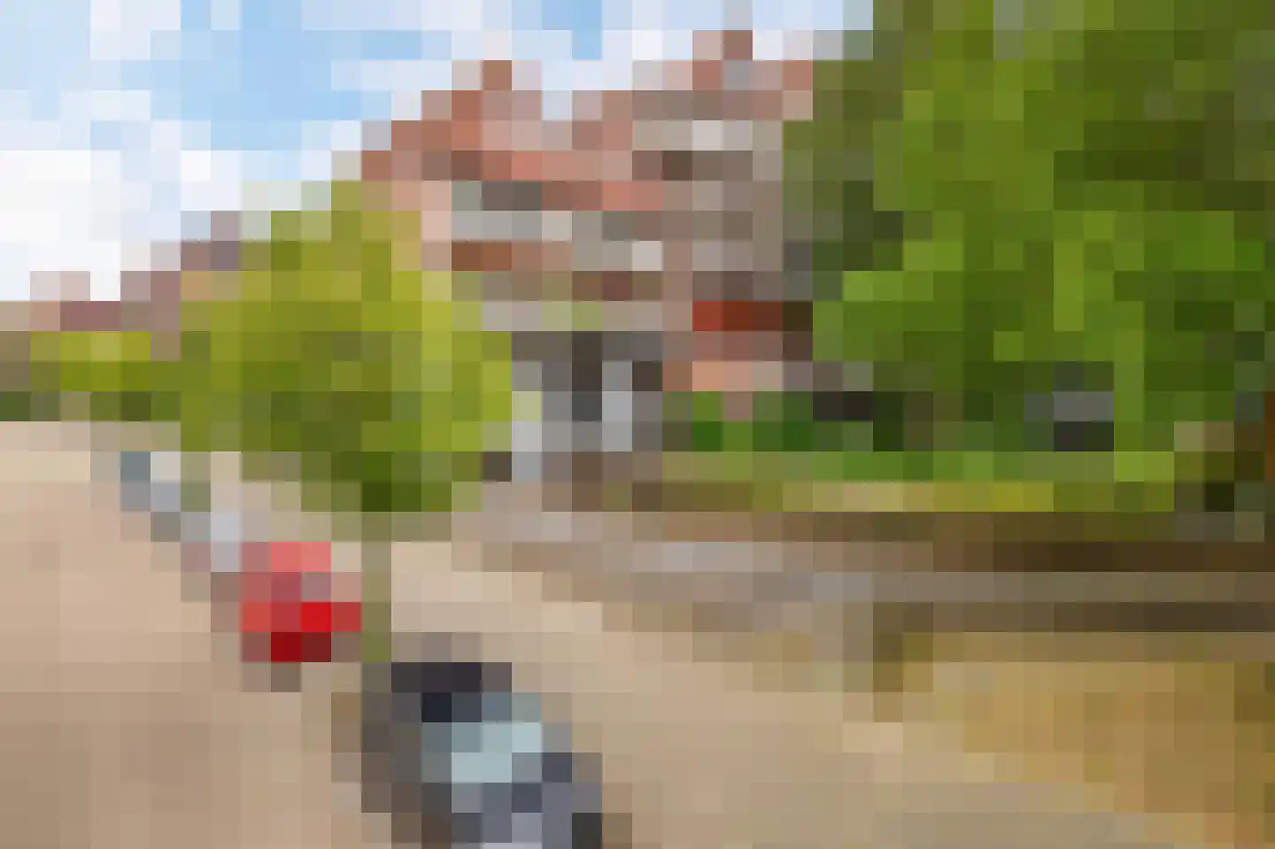 Gravin Adélastraat 107 Rotterdam thumbnail 5
